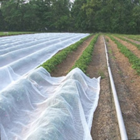 Nonwoven fabric in agriculture